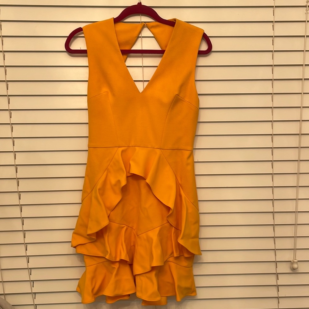 Rebecca Vallance havana mini dress